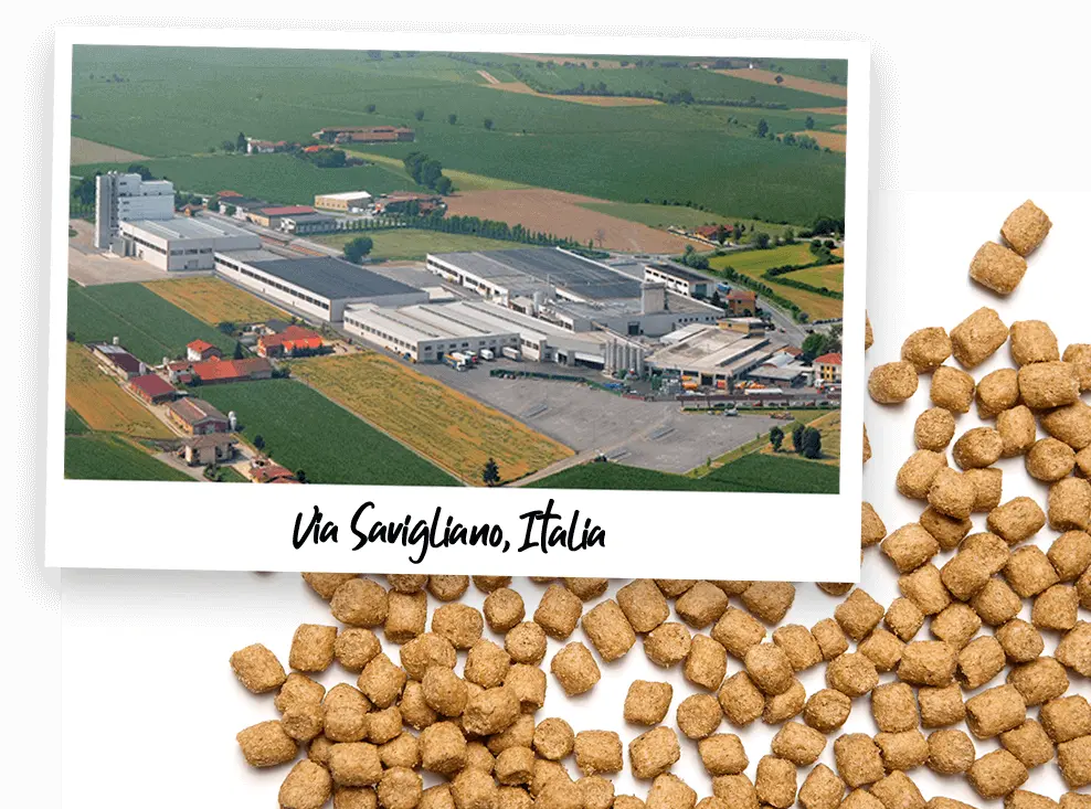 via savigliano-italia