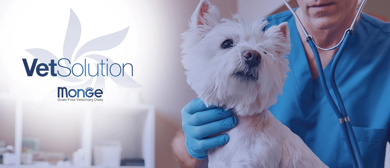 Banner Monge línea Veterinaria