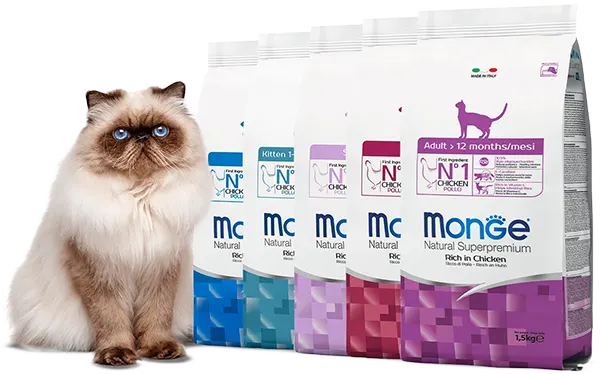 Envases Monge más gato